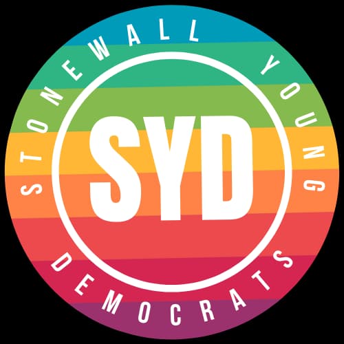 Stonewall Young Democrats endorses Maria Ghobadi for Los Angeles Superior Court Judge Office Number 64