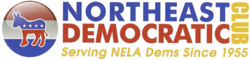 Northeast Democratic Club endorses Maria Ghobadi for Los Angeles Superior Court Judge Office No 64
