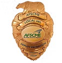AFSCME Probation Officers' Union endorses Maria Ghobadi for Los Angeles Superior Court Judge Office Number 64