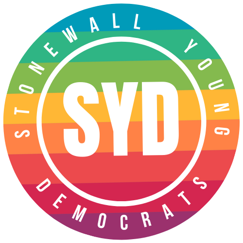 Stonewall Young Democrats endorses Maria Ghobadi for Los Angeles Superior Court Judge Office Number 64